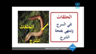 الديدان الحلقية +تجربة      اول ثانوي المستوى 1