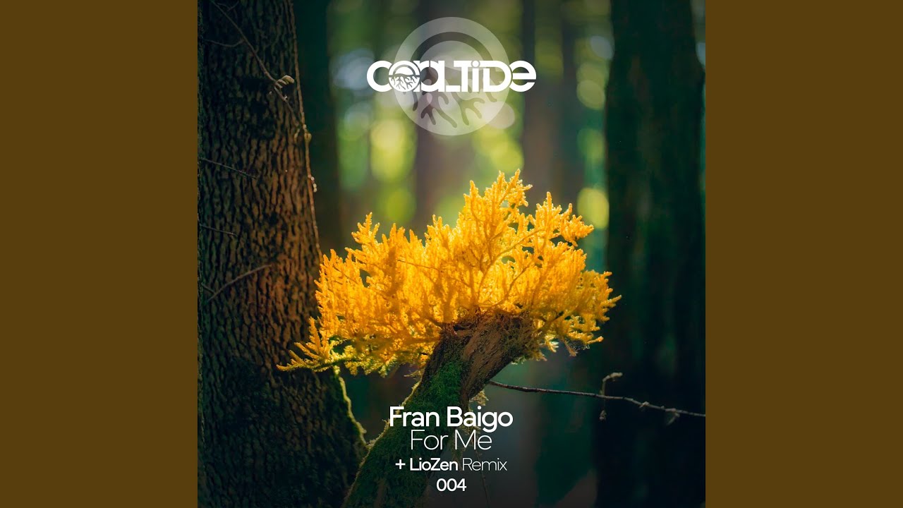 Regardez For Me (LioZen Remix) sur YouTube Regardez For Me (LioZen Remix) sur YouTube