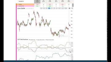 Weekly Commitments of Traders Review - COT Report 36/2013 - COTbase.com