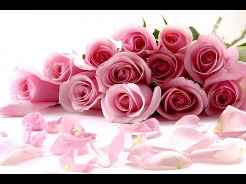 حكم الاحتفال بذكرى يوم الزواج لكل من الشيخ ابن باز ابن عثيمين الفوزان جزاهم الله خيرا