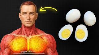 How Many Eggs Do You Need to Actually Build Muscles? Profile