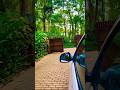 Trip To kurg Karnataka   #shorts