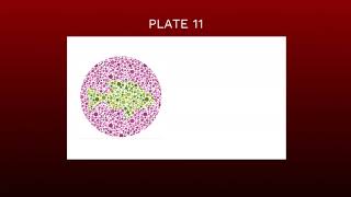 Famous TEST YOURSELF - COLOR BLIND CHILD TEST Profile