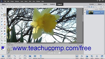 Photoshop Elements 2019 Tutorial The Magic Wand Tool  Adobe Training
