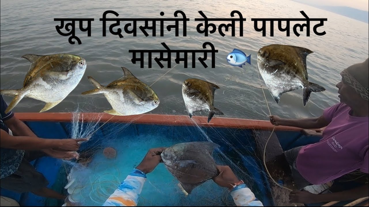 🐟खूप दिवसांनी गेलो पापलेट मासेमारी साठी🐟 pomfret fishing 🐟#fishing #konkanpremi #youtube 