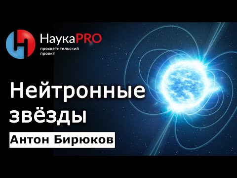 Как в Австралии появился миллион верблюдов и почему они стали проблемой?
