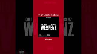 Cold Sholda ft. Spit Gemz - Weapenz