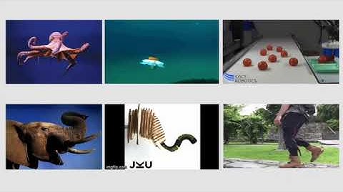 3MT - Binbin Ying at UofT Robotics Institute