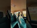 2026 Toyota Hilux Interior – Hidden Features You Missed!