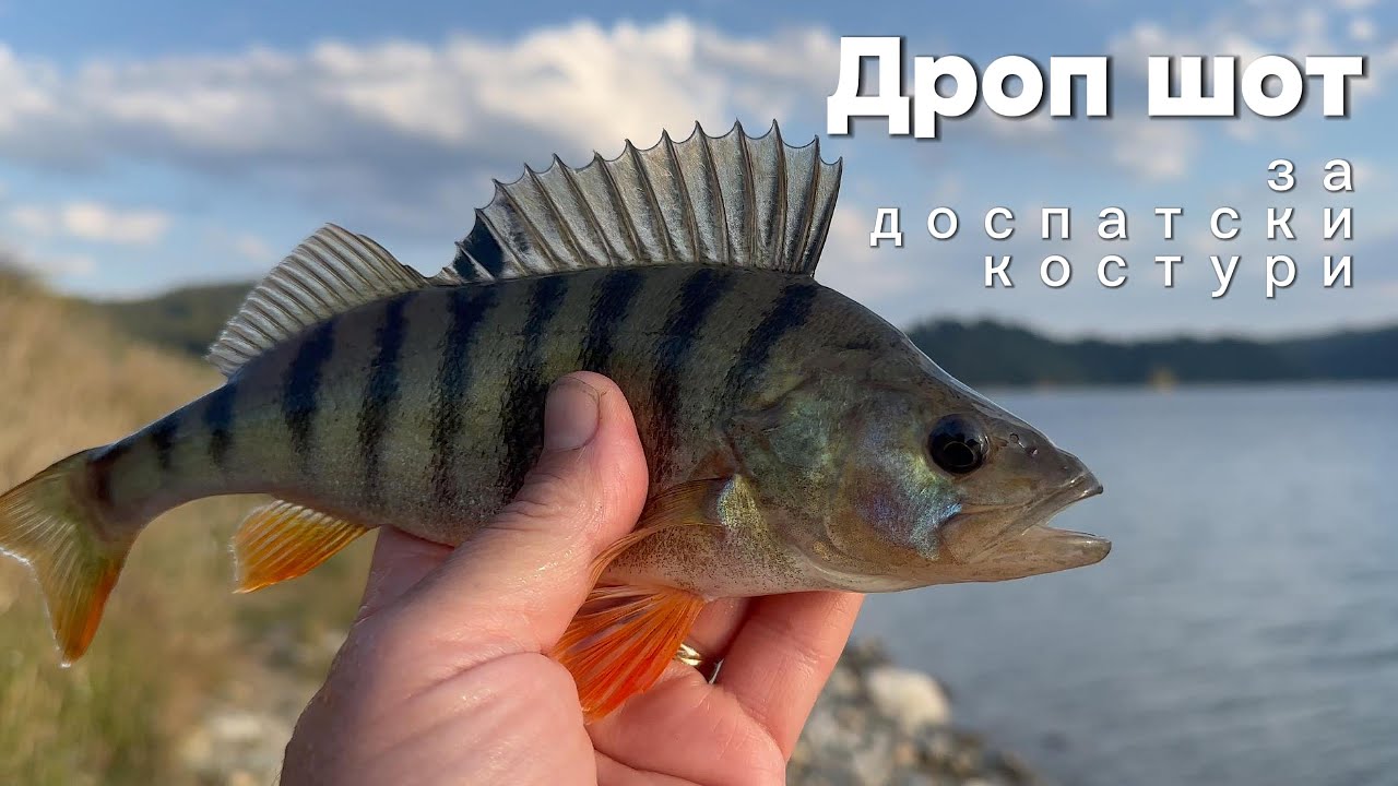 Дроп ШОТ за доспатски КОСТУРИ - 1 част