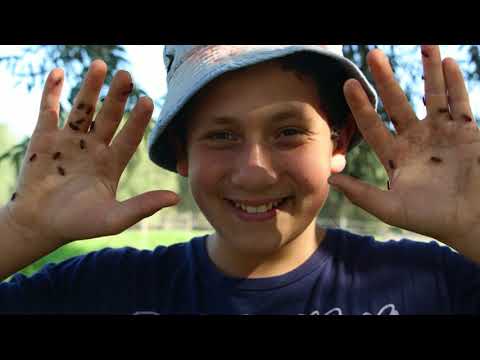 בית ילדים ד-ו כפר רופין 2018