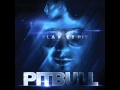 Pitbull Feat Nelly My Kinda Girl Clean mp3