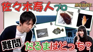 麻雀攻めダルマ失格！？クイズ！ダルマはどっち？佐々木寿人プロの本音が・・・w