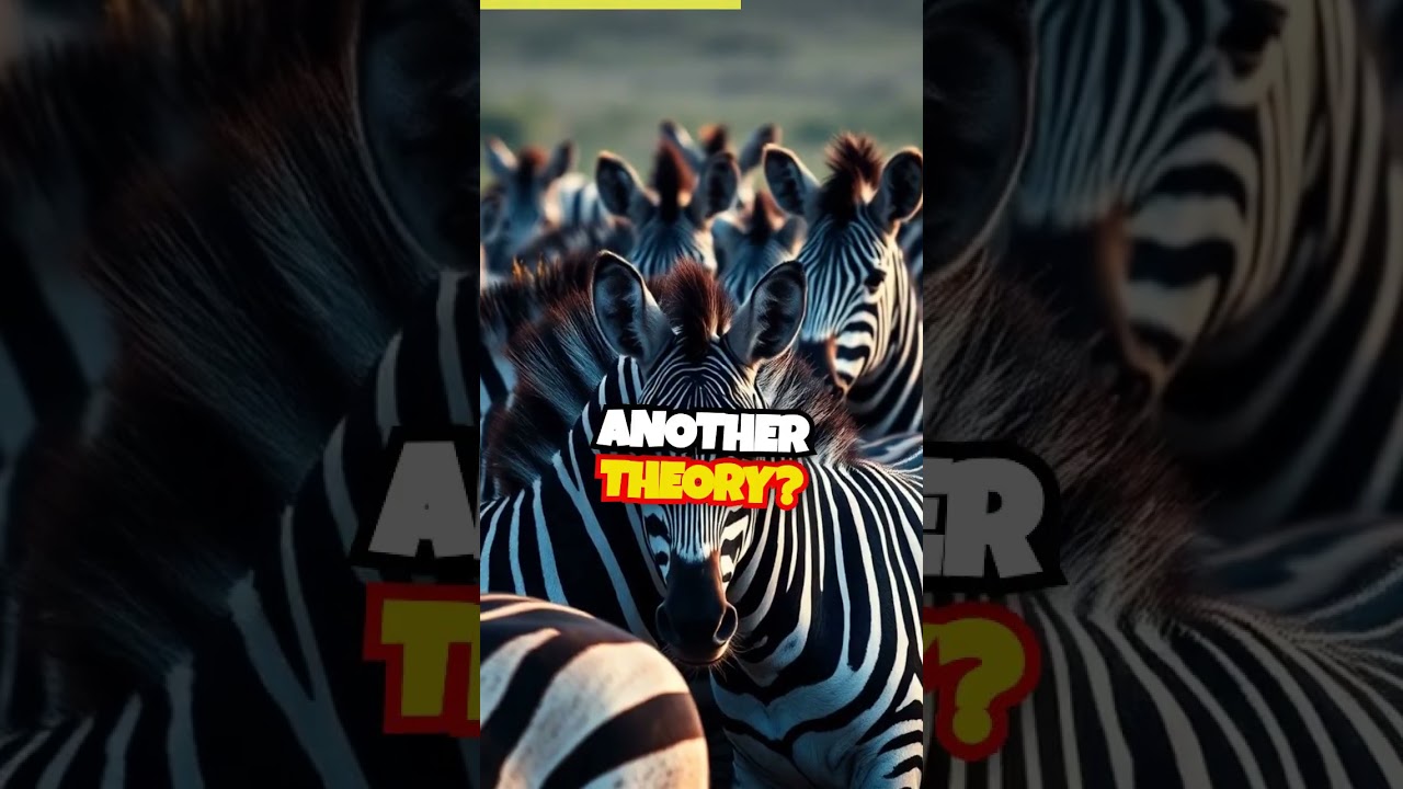 Stripes Unveiled: The Secrets Behind Zebra Patterns!