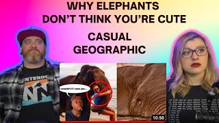 Why Elephants DON’T Think You’re Cute @mndiaye_97 | HatGuy & @gnarlynikki React