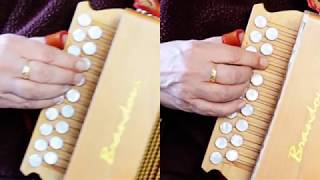 Anna's Vals, traditionele muziek uit Zweden op trekharmonica