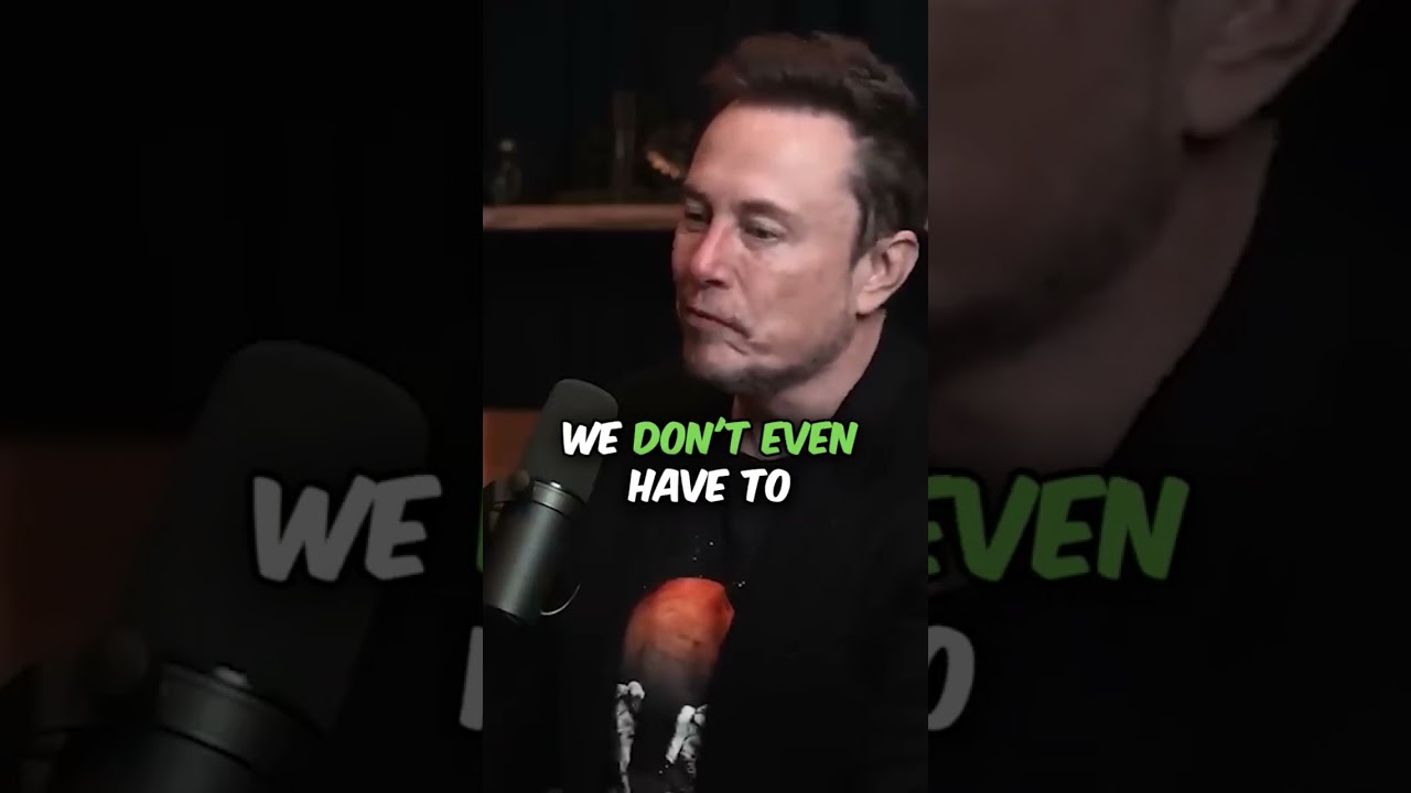 Elon Musk views on the US 