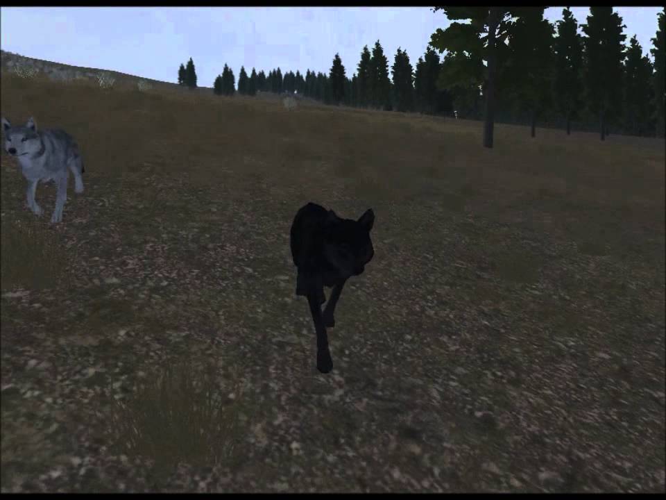 Wolf Quest A pack story part 6 YouTube