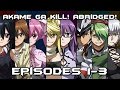 Akame Ga Kill! Abridged! Episode 1-3 Recap