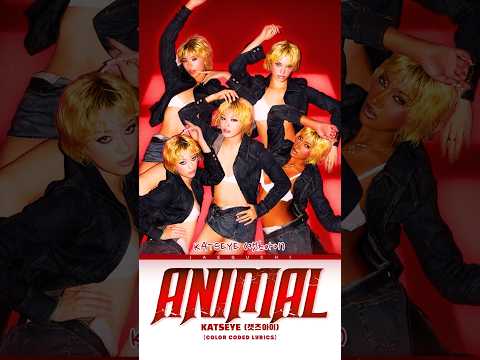 𝑨𝒏𝒊𝒎𝒂𝒍 💯 𝑲𝑨𝑻𝑺𝑬𝒀𝑬  #songlyrics #trending #shorts #kpop #animal #katseye #viral #fyp