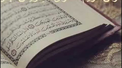 سورة البيّنة القارئ ادريس ابكر    Surat Al Baiyina