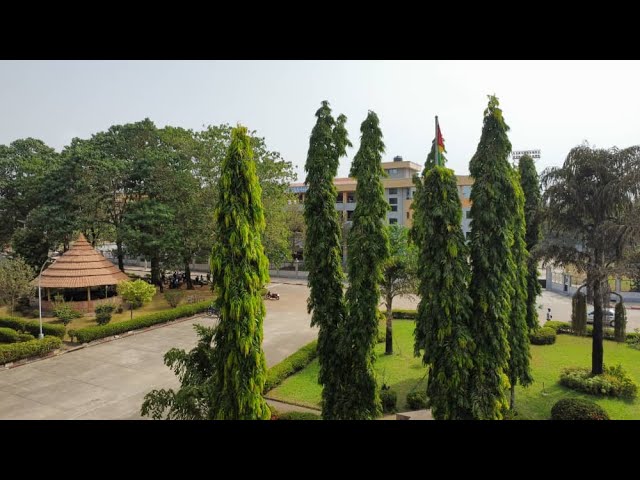 Un microclimat en plein cœur de Conakry !