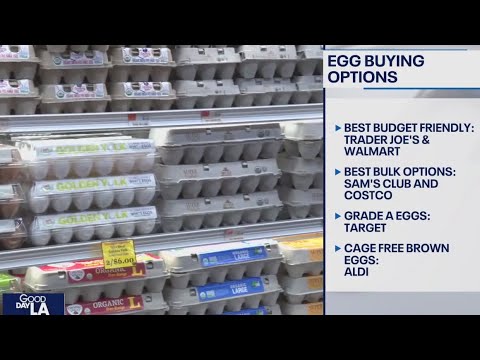 Where Are Eggs Cheapest
