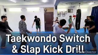 Taekwondo Switch + Front Leg Slap Kick Drill