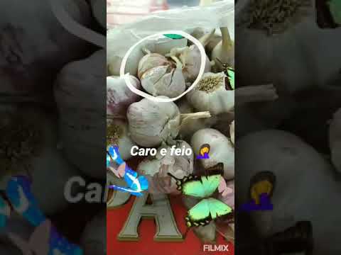 Tempero de Alho armazenado na banha suína!