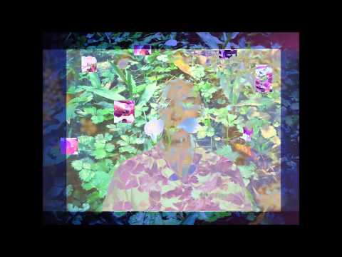 雷光夏-海上花