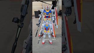 Which One Are You Choosing?