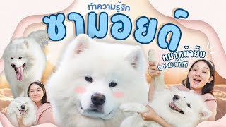 สุนัขสายพันธุ์ซามอยด์ นิสัยน่ารัก น่าเลี้ยงแค่ไหนไปดูกันค่ะ !! (EP.52)