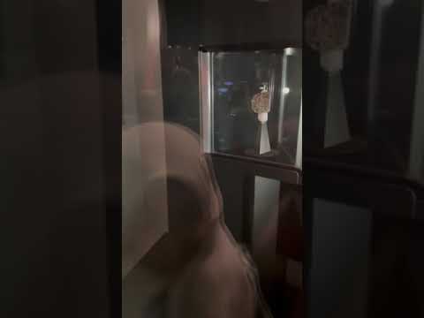 قطعه من القمر