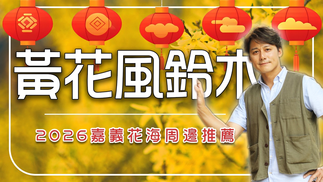 2026嘉義賞風鈴木看花燈【旅遊行程推薦🌼】台灣／嘉義／八掌溪／東市場／樹木園／Taiwan／Chiayi／Trumpet ｜#廖科溢