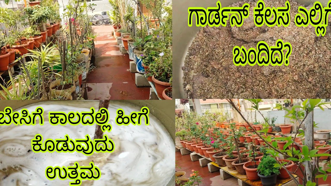 #ಬೇಸಿಗೆಯಲ್ಲಿ_ಹಿಂಡಿಗಳ_ಲಿಕ್ವಡ್_ಹೀಗೆ_ಕೊಡಿ_ಹೀಟ್_ಆಗುವುದಿಲ್ಲ//