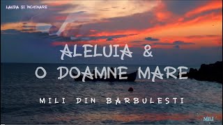 @MILIDINBARBULESTI - ALELUIA & O DOAMNE MARE - (Cover : Michael.W Smith & Carl Boberg )