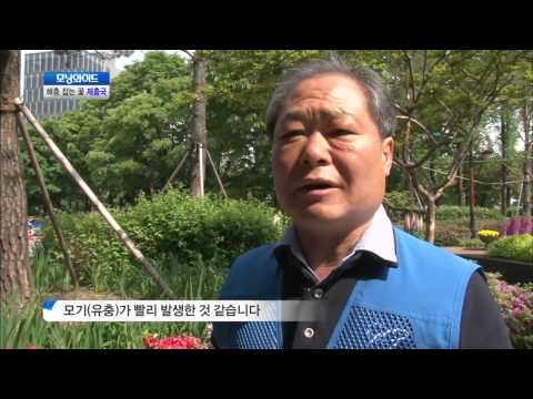 달마시안 제충국