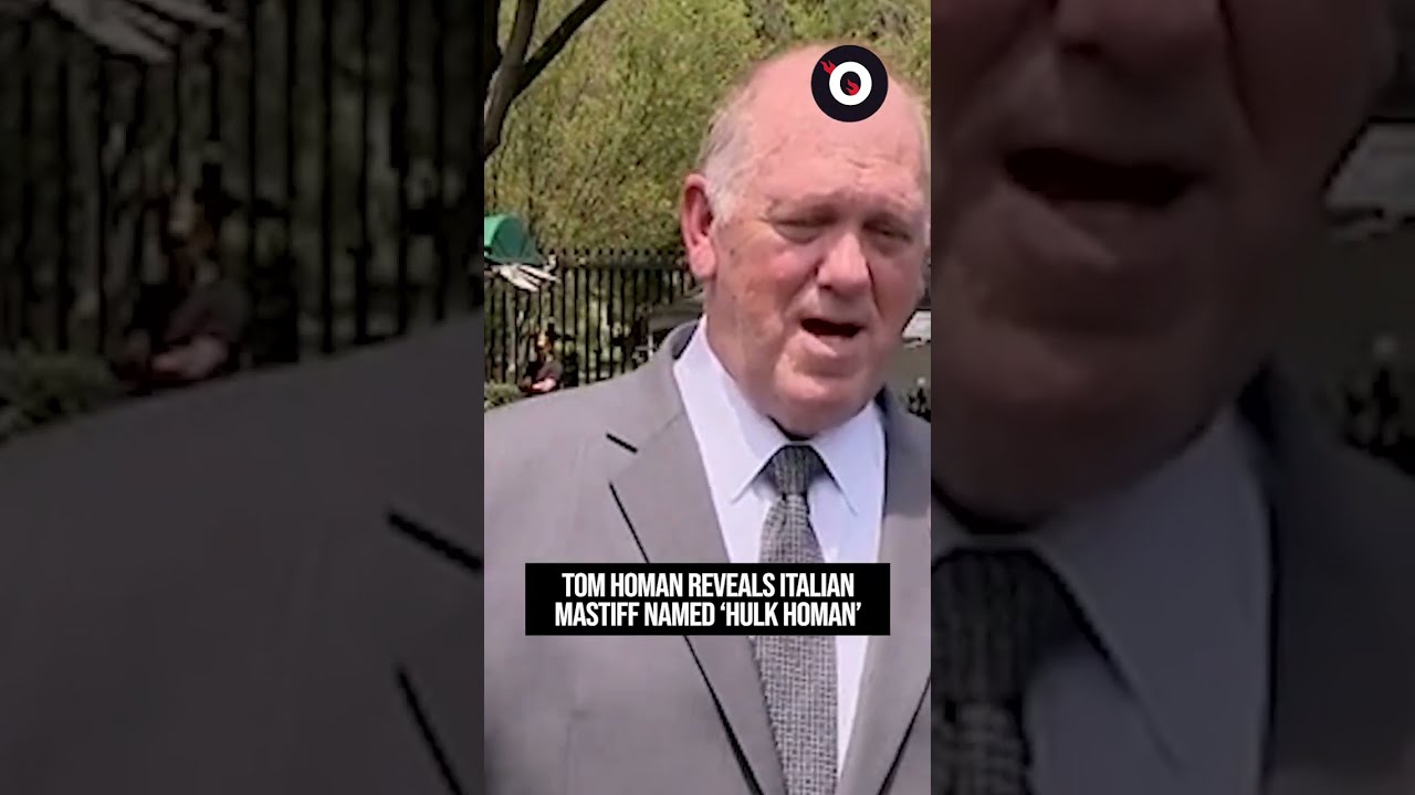 Tom Homan Reveals Italian Mastiff Named Hulk 