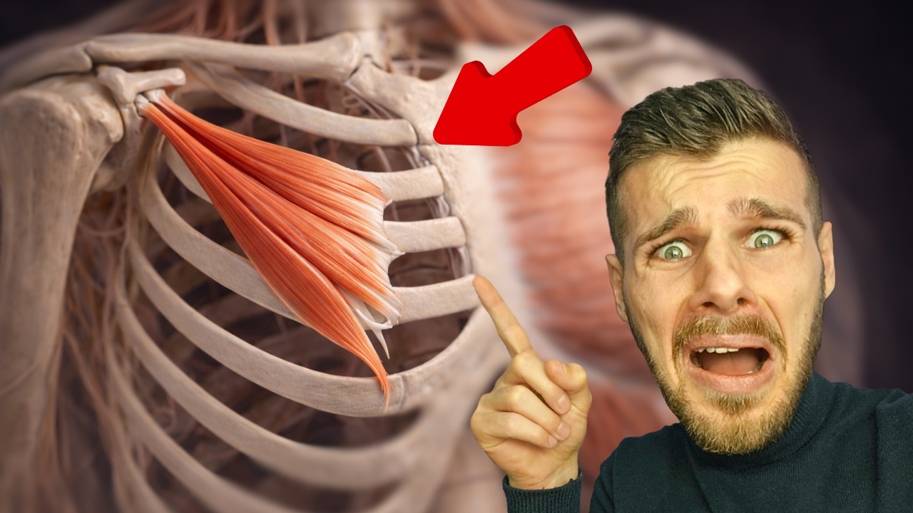 Questo muscolo ti fa venire la 