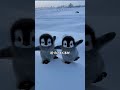 ペンギンに触んなっつってんだよ💢💢