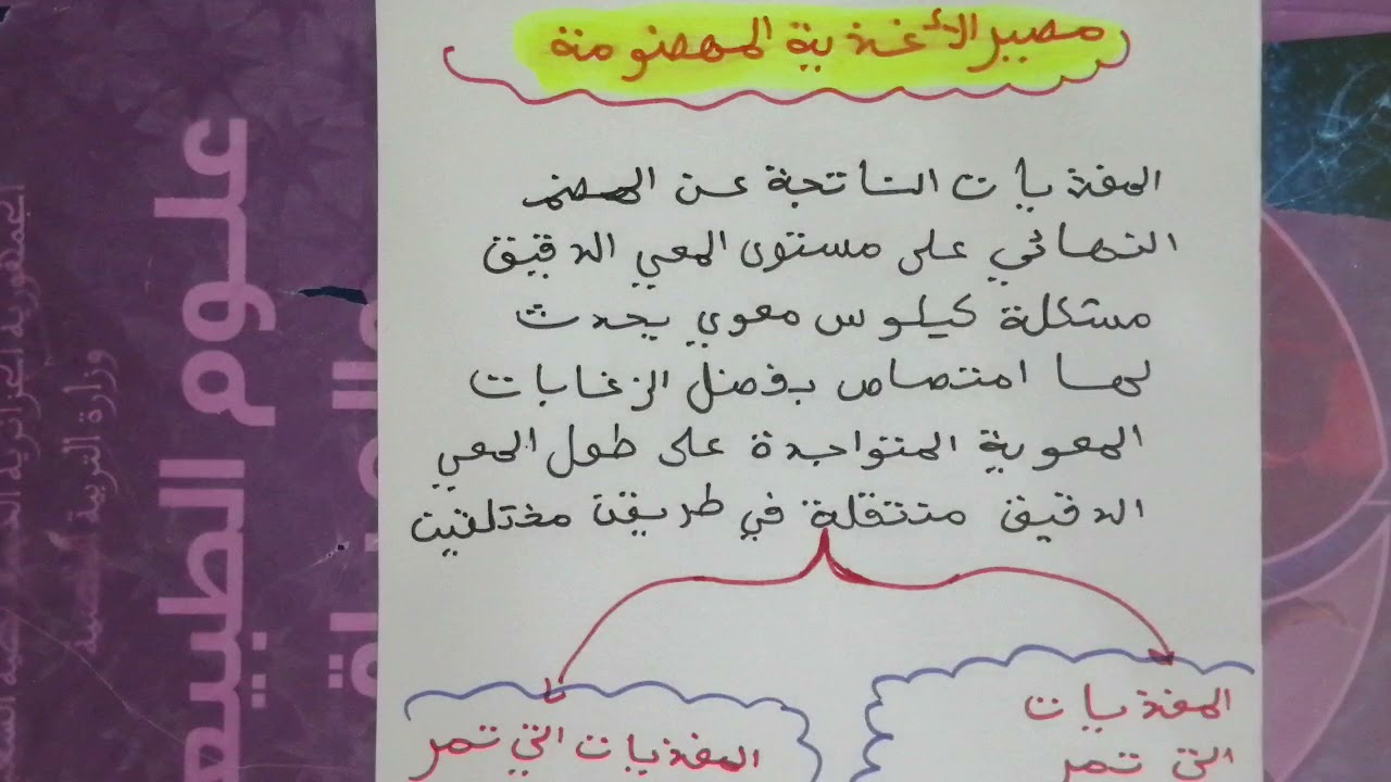 مصير الأغذية المهضومة علوم الطبيعة والحياة سنة الرابعة متوسط
