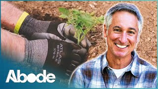 HOW TO DESIGN, PLANT AND GROW A GARDEN PERFECT FOR THE ENVIRONMENT