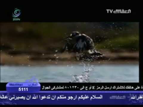 نشيد جل البديع بصوت الشيخ مشاري بن راشد العفاسي Avi Flv 