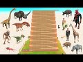 Race of All Units Zigzag Climb - Animal Revolt Battle Simulator