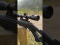 Top Airgun for Hunting? Full Review | Powerful Airgun Review  Accuracy Test, Range &amp; Full Comparison
