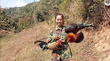 cuab qaib qus hyoo... 15  ,  2   ,    2022