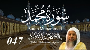 047 سورة محمد كاملة _ الشيخ محمد أيوب  | Suratu Mohammed Complete _ Sheikh Mohammed Ayoub