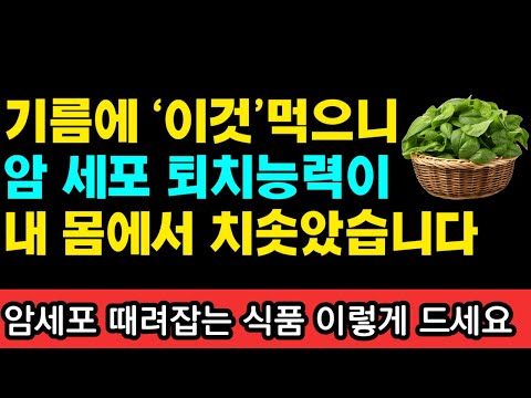 <strong>암</strong> 환자의 암세포 퇴치능력 폭발했습니다! I 와타요 다카호 I 암치료 I 아침주스 &amp;amp; 과일 채소 <strong>식이요법</strong>