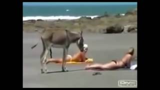Приколы над девушками на пляже Приколы над девушками на пляже