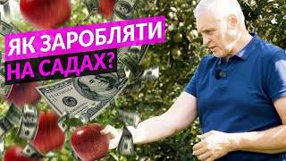 Скільки заробляють на яблуках і як ❘ Садівництво Аграна Фрут Лука Україна